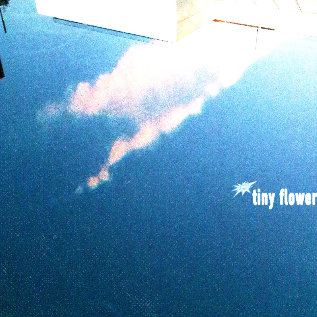tiny flower